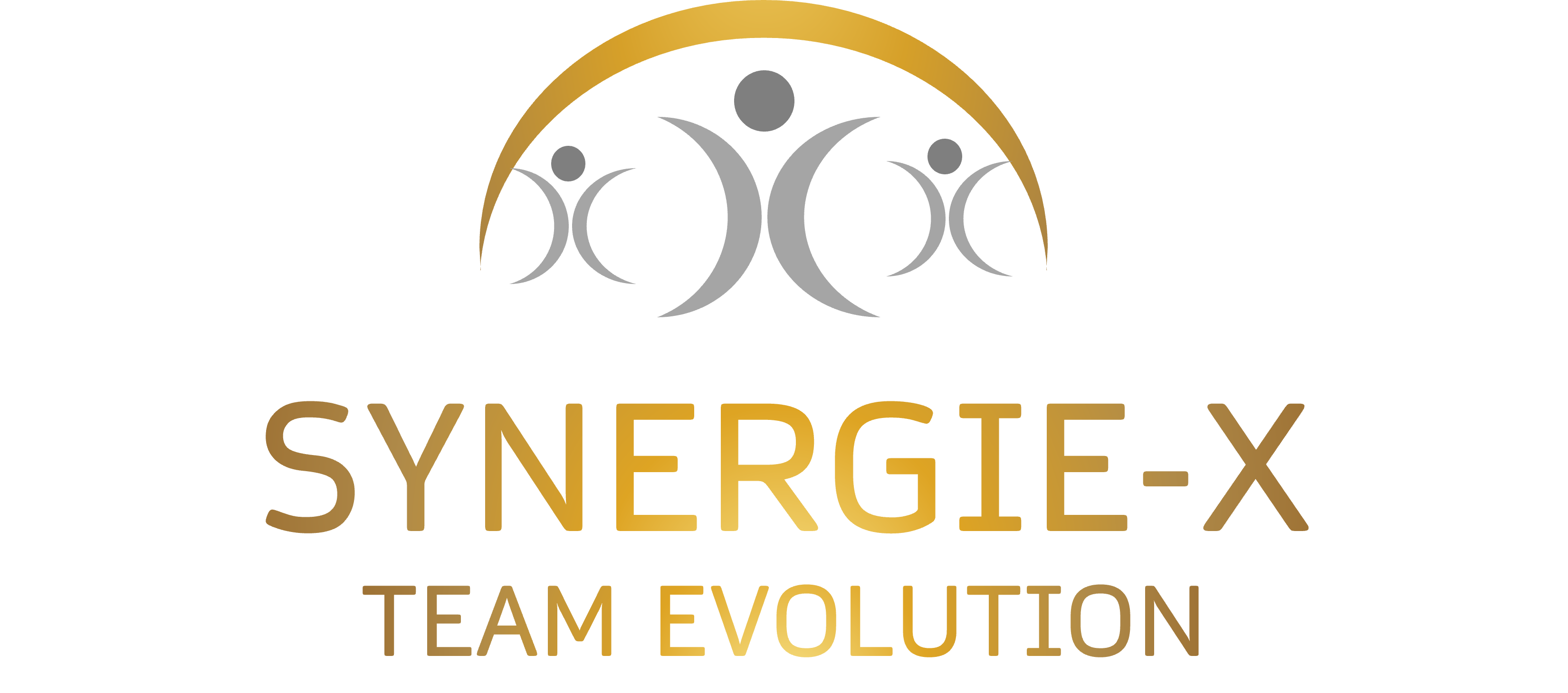 SynergieX